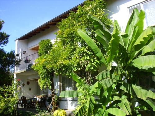 Ferienwohnung Immenstaad in Immenstaad am Bodensee, Deutschland