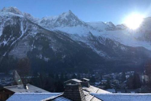 Nice COSY apt with GARDEN in Chamonix-Mont-Blanc