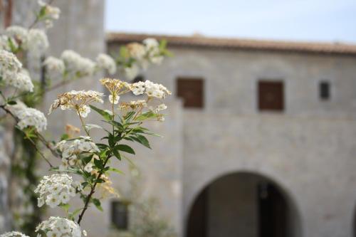 派特拉及福斯精品温泉酒店 派特拉及福斯精品温泉酒店