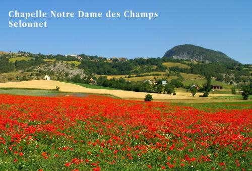 Le Relais de la Forge - image 3