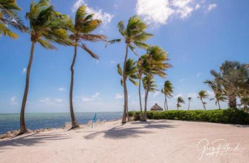 Chesapeake Beach Resort - image 10
