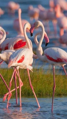  A casa dei Fenici in Marsala