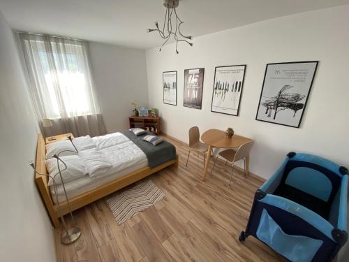 Apartament Niebieski - Apartment - Duszniki Zdrój