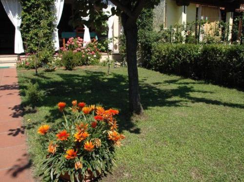 Ombretta House gîte à louer San Teodoro