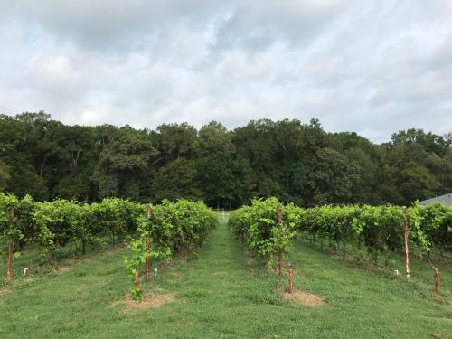 High Hill Farm - image 10