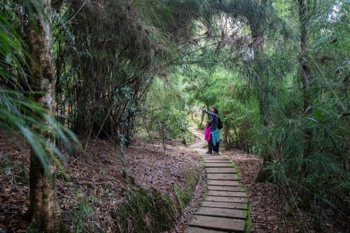 Dantica Cloud Forest Lodge