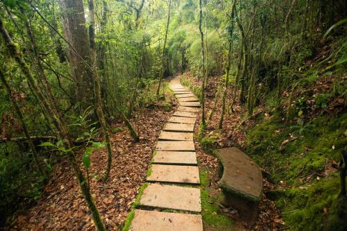 Dantica Cloud Forest Lodge