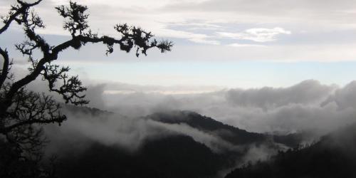 Dantica Cloud Forest Lodge