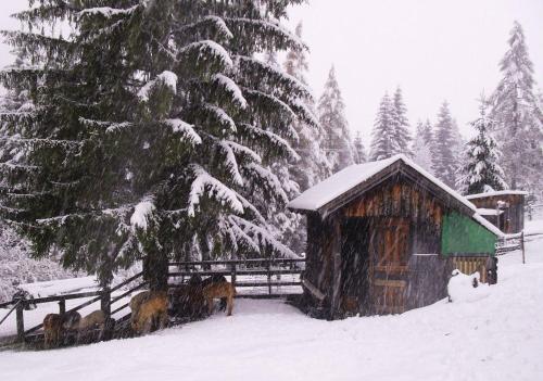 Gästehaus Panorama