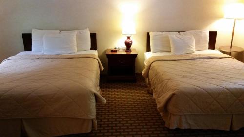 Queen Room with Two Queen Beds