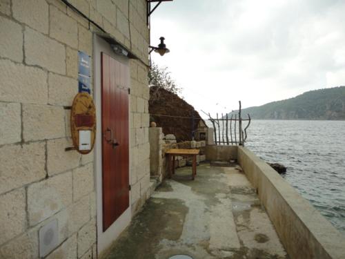 Kod Senke photo