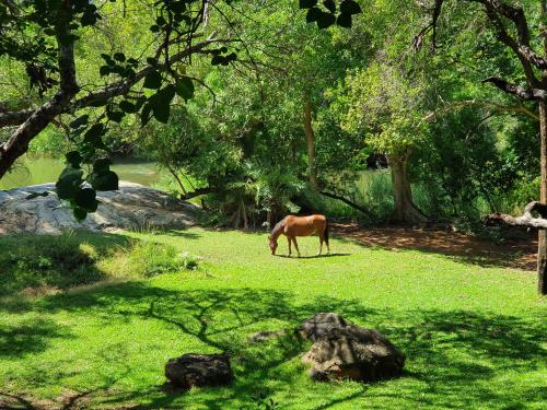 Blyde River Wilderness Lodge