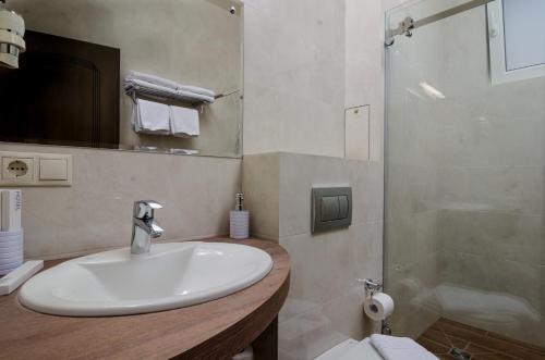 Hotel Orion - image 9