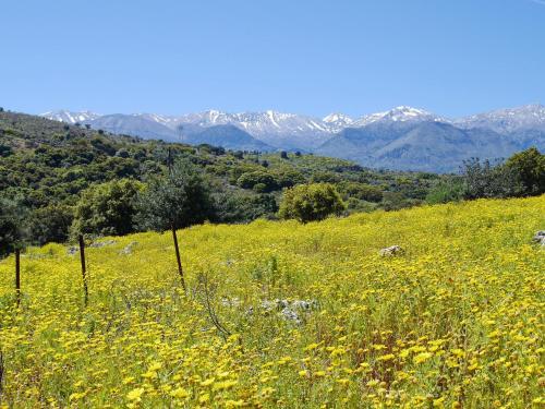 Villa Amvrosia Nr Kalives Crete