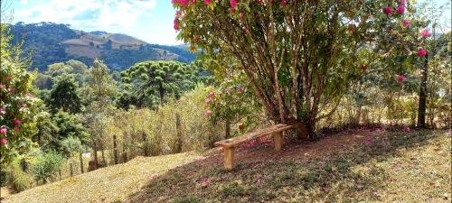 Garden, Casa Trilha in Parque Rancho Alegre