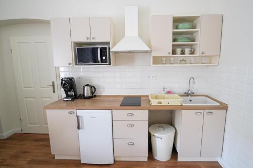 Spa Apartments Theresia in Dubí
