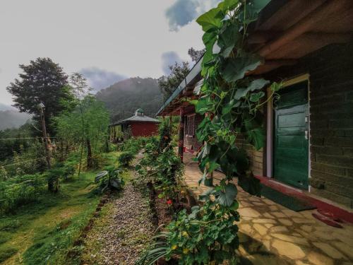 Zenoaks Homestay - Dwarahat Range
