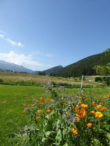 Ferme de la grande Moucherolle