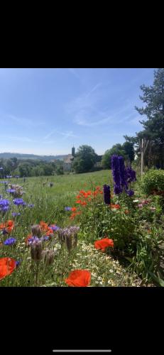 Ferienwohnung Klosterblick