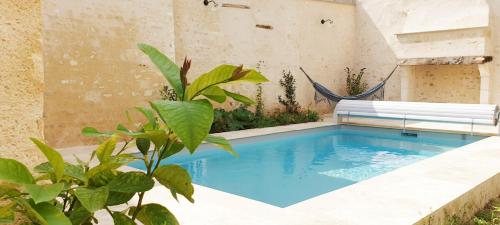 Úszómedence, La Croix au Maitre in Coulanges-la-Vineuse