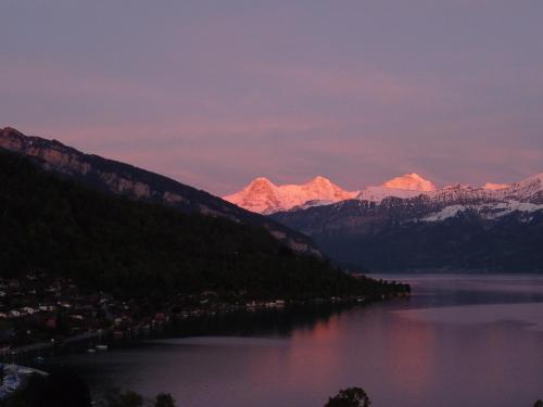 Chalet Oberhofen am Thunersee