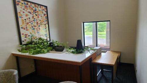 Holiday Inn Express Lordstown-Newton Falls/Warren, an IHG Hotel in Newton Falls, USA