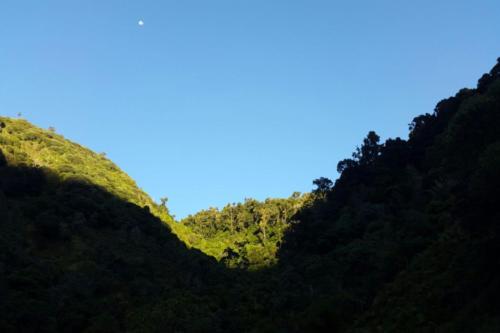 Dantica Cloud Forest Lodge