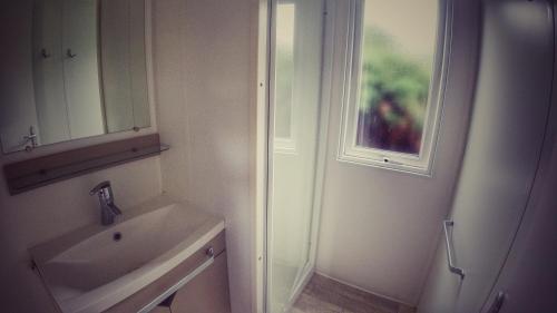 Camping Sokol Praha - image 10