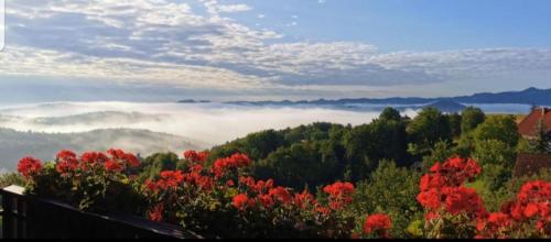 Obstbau und Gastezimmer Stani in Kitzeck
