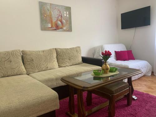 Vlajković apartmani - Location saisonnière - Vrnjačka Banja