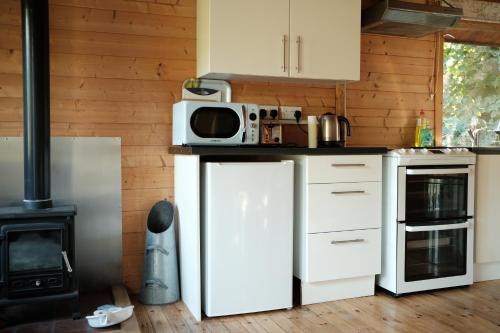 Bodnolwyn Wen in Harlech