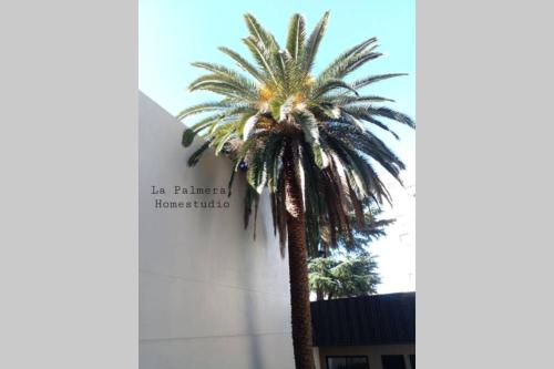 La Palmera Homestudio. Hermoso apartamento en el corazon de Palermo Hollywood