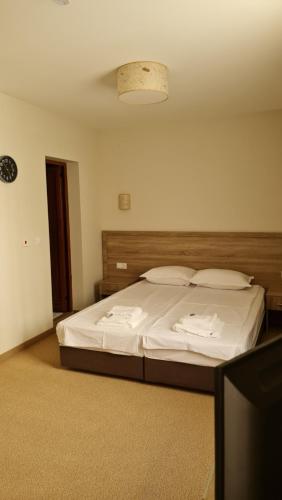 Hotel Geppy, Sofie (fotografie 9)