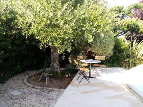 l'Eden naturiste écureuil (l'Eden naturiste ecureuil) in Challans