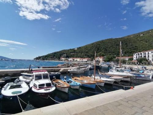  Apartment Antea-Opatija Riviera, Pension in Mošćenička Draga