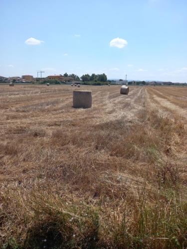 LA QUIETE TRA LE VIGNE Tuscany