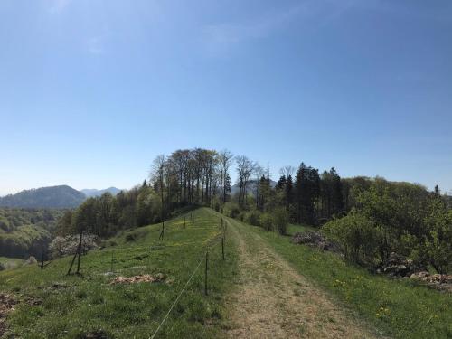 Gästezimmer Erlinsbach bei Aarau, zwischen Aare und Jura