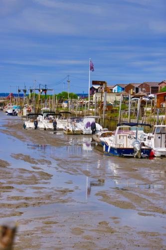 les coquilles - Location saisonnière - Lanton