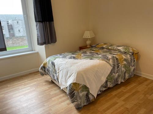 Rainforest 1 - Apartment - Campbeltown