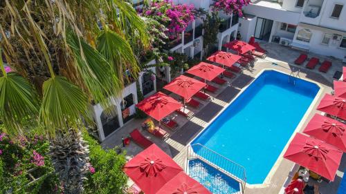 Seray Class Apartments - main image