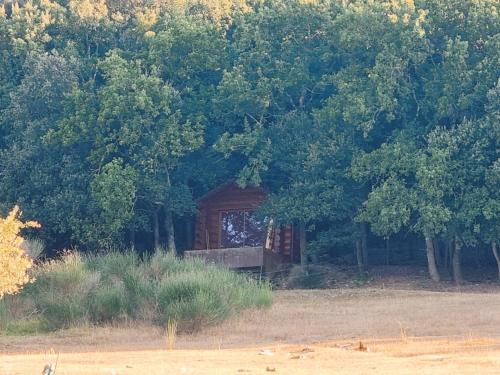 Le chalet des Cigales chambre d'hôte Limoux