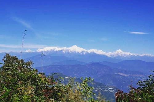 Priyadarshi Eco Homestay