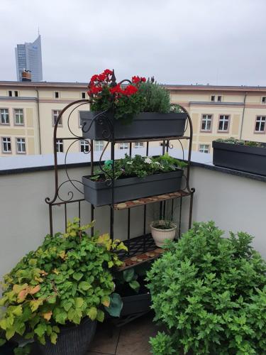 LUXUSAPPARTEMENT mitten in Leipzig Neueröffnung !, Leipzig (photo 10)
