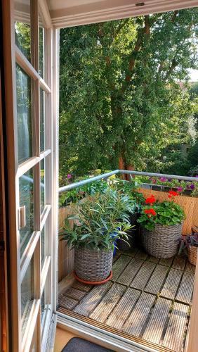 克雷默桥老城公寓 克雷默桥老城公寓