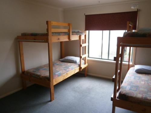 Bed in 8-Bed Mixed Dormitory Room