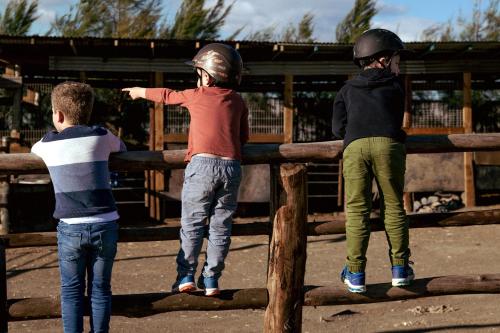 Hunter Valley Resort, Hunter Farm Adventure Centre & 4 Pines at the Farm