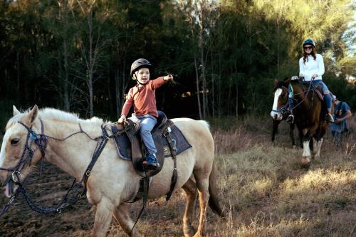 Hunter Valley Resort, Hunter Farm Adventure Centre & 4 Pines at the Farm