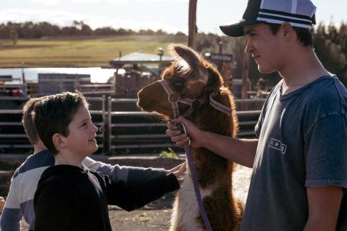 Hunter Valley Resort, Hunter Farm Adventure Centre & 4 Pines at the Farm