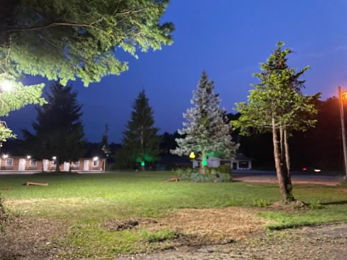 Garden, PINE VALLEY MOTEL in Marion (NC)