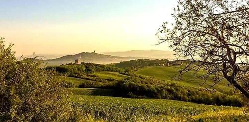 Castello Nuovo di Fiore - Appartamento 1